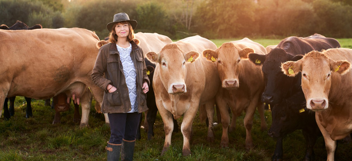 White, female farmer wearing wax jacket and wide-brimmed hat, stands in a green meadow beside a herd of tan-brown cows, with low rays of sun shining from behind.
