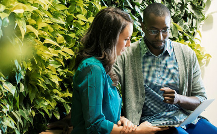 Two business people looking at a laptop in front of a wall of leaves