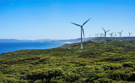 Photo of green coastal clifs lined with wind turbines