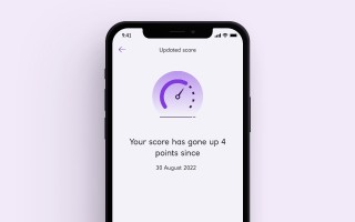 UBN mobile app score history feature screenshot