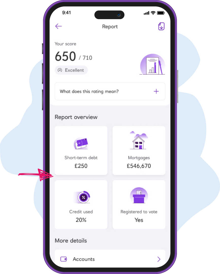 Credit Report home screen